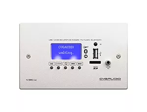CVGAUDIO N-SRC-W