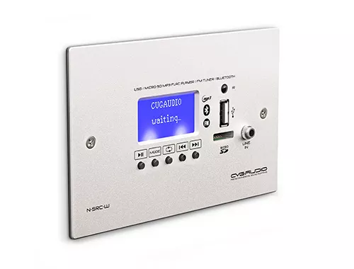 CVGAUDIO N-SRC-W