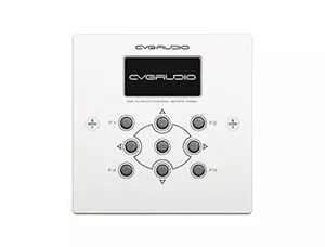 CVGAUDIO ERC-1W
