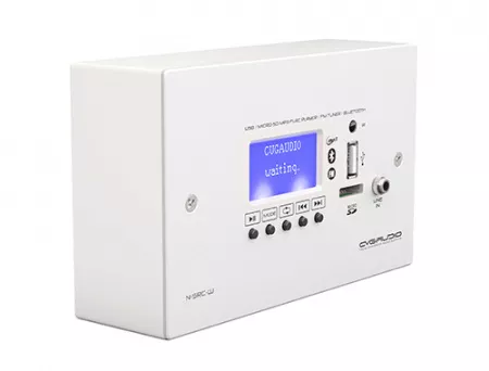 CVGAUDIO WS-NSRC-W