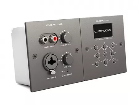 CVGAUDIO WB2-ERC